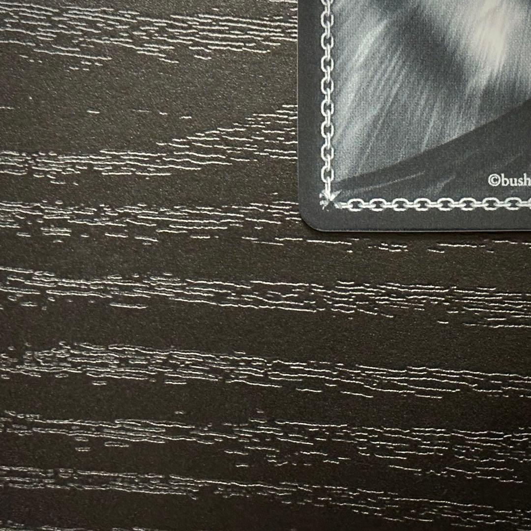 WS B小町 アイ SSP