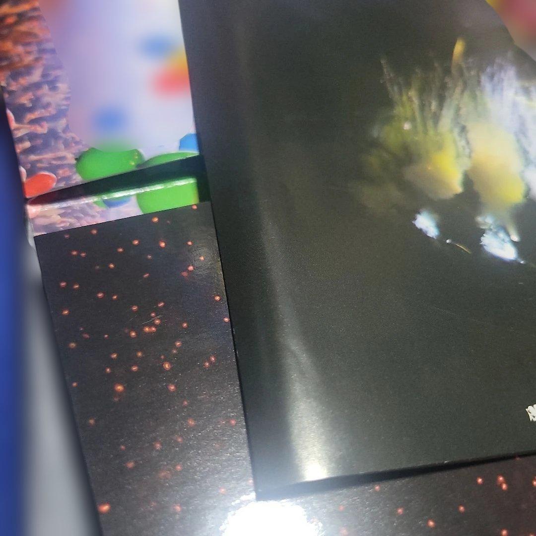 THE ALFEE 31st 2017 夏フェスタ DVD