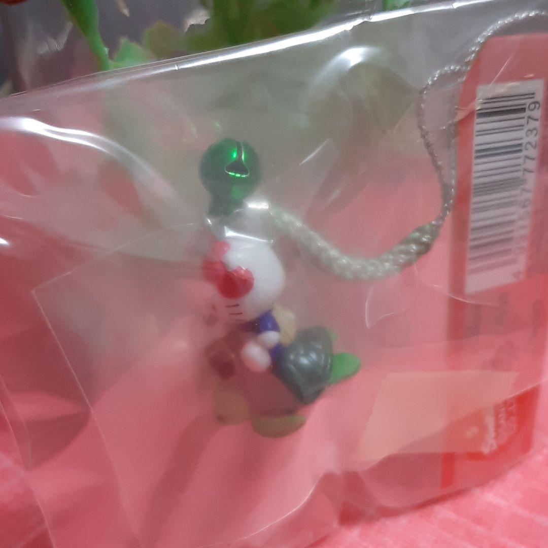 はろうきてぃ　浦島太郎伝説