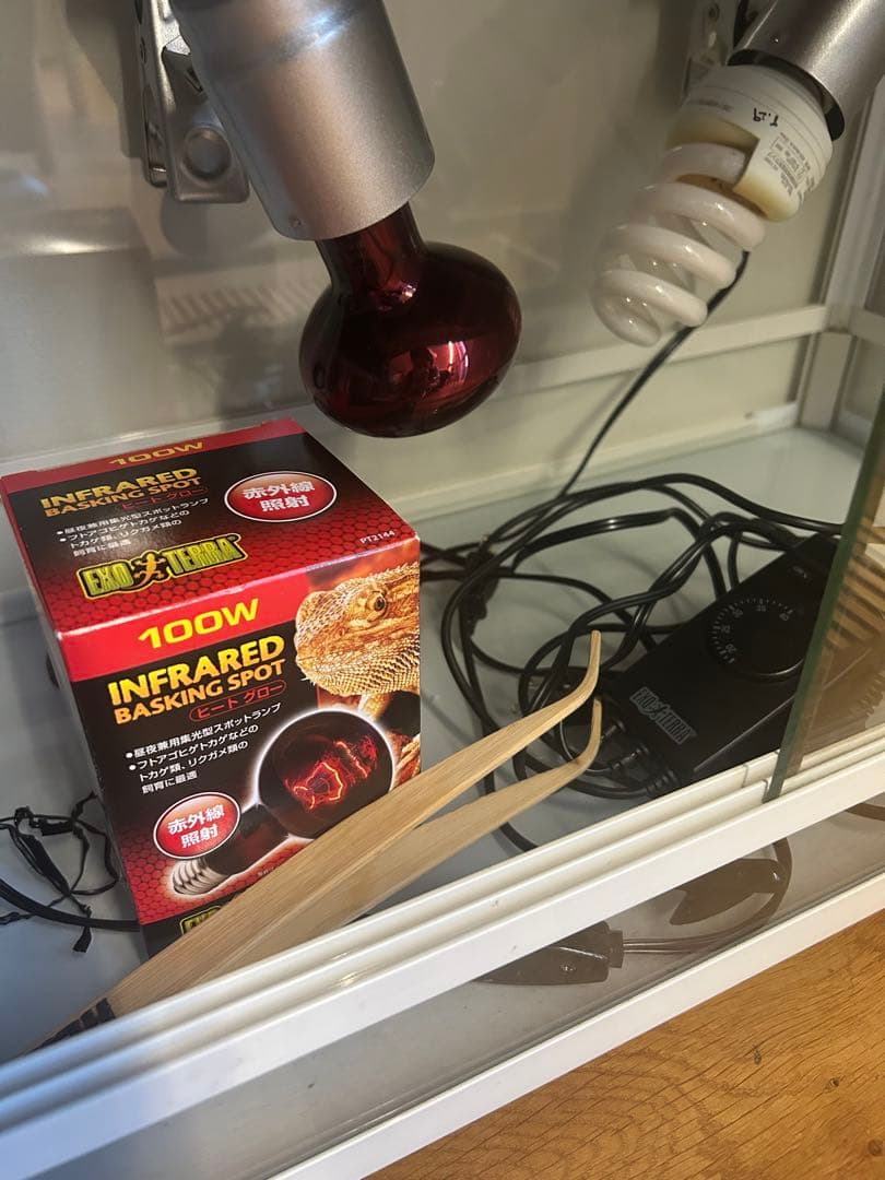 大型ガラス飼育ケージ 温度計付き