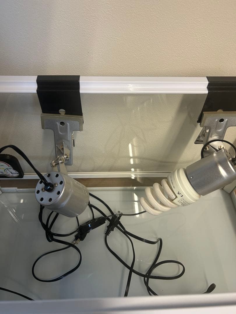 大型ガラス飼育ケージ 温度計付き