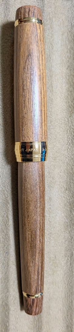 パイロット万年筆 カスタム 槐 中字(M)