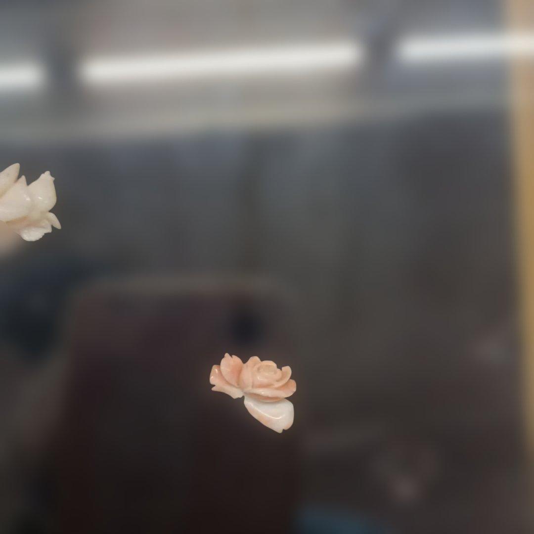 3985）周峰　珊瑚の彫刻の額　薔薇