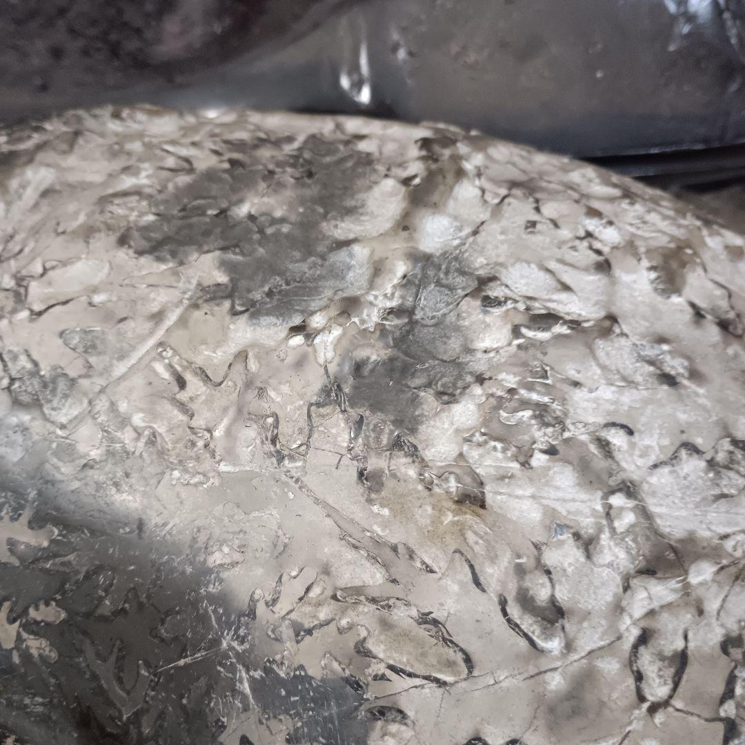 ４５２５）アンモナイトの化石　３０ｋｇ超え　縫合線　鑑賞石　置物