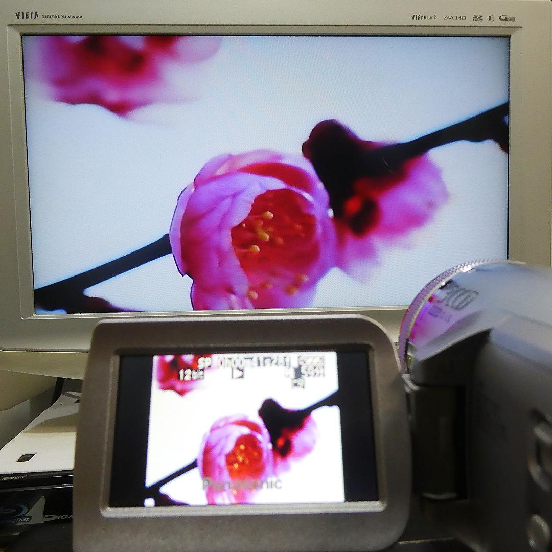 動作良好 パナソニック NV-GS500 MiniDVビデオDVDダビングに最適