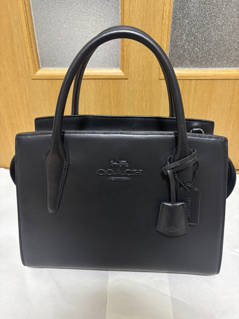 COACH アンドレア キャリーオール 2WAYショルダーバッグ CP086