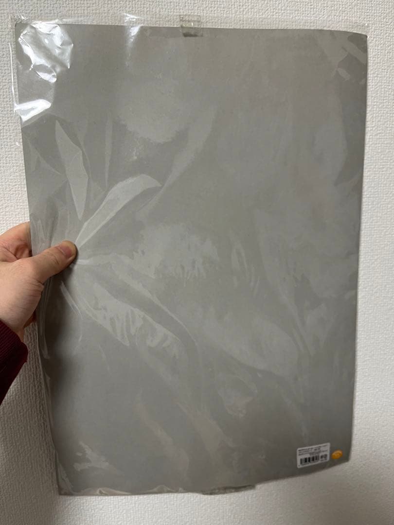 【浅野いにお】20周年個展限定メタリックポスター