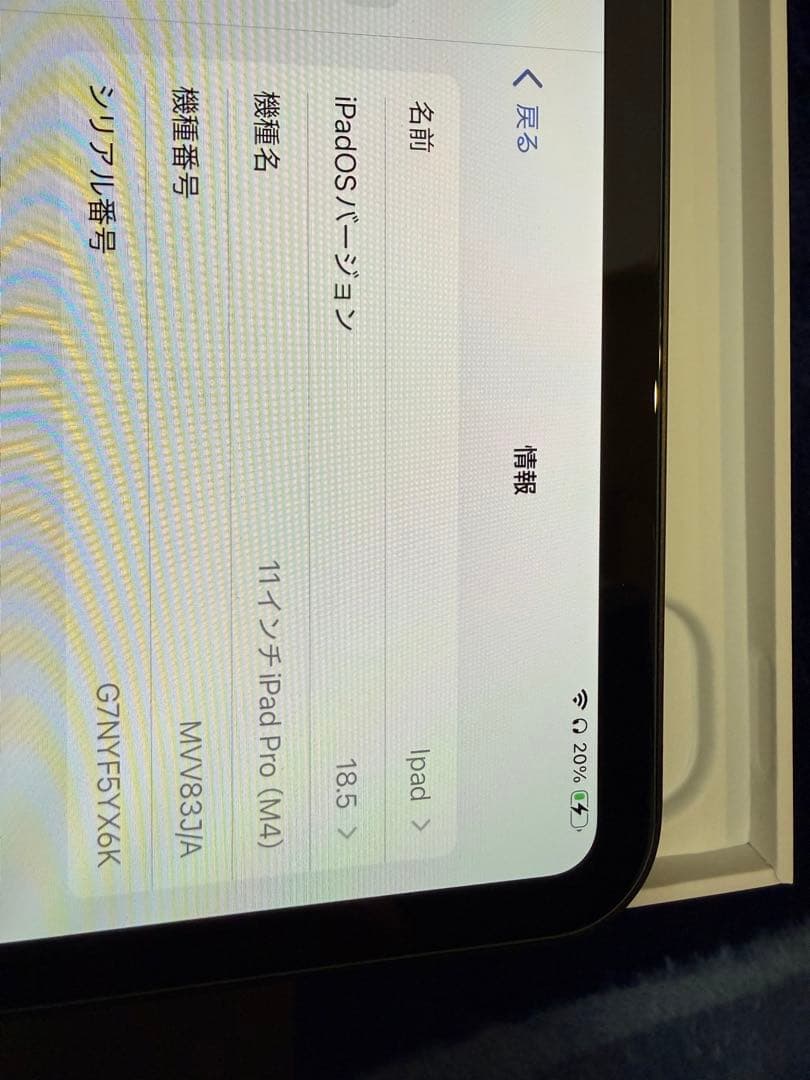 Apple iPad Pro 11インチ M4 スペースブラック おまけ付き