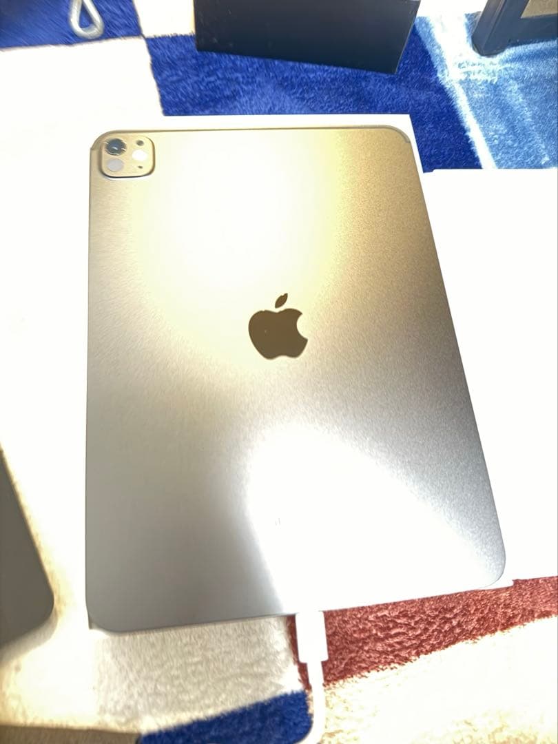 Apple iPad Pro 11インチ M4 スペースブラック おまけ付き