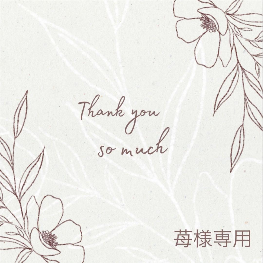 ◆苺◆同梱あり