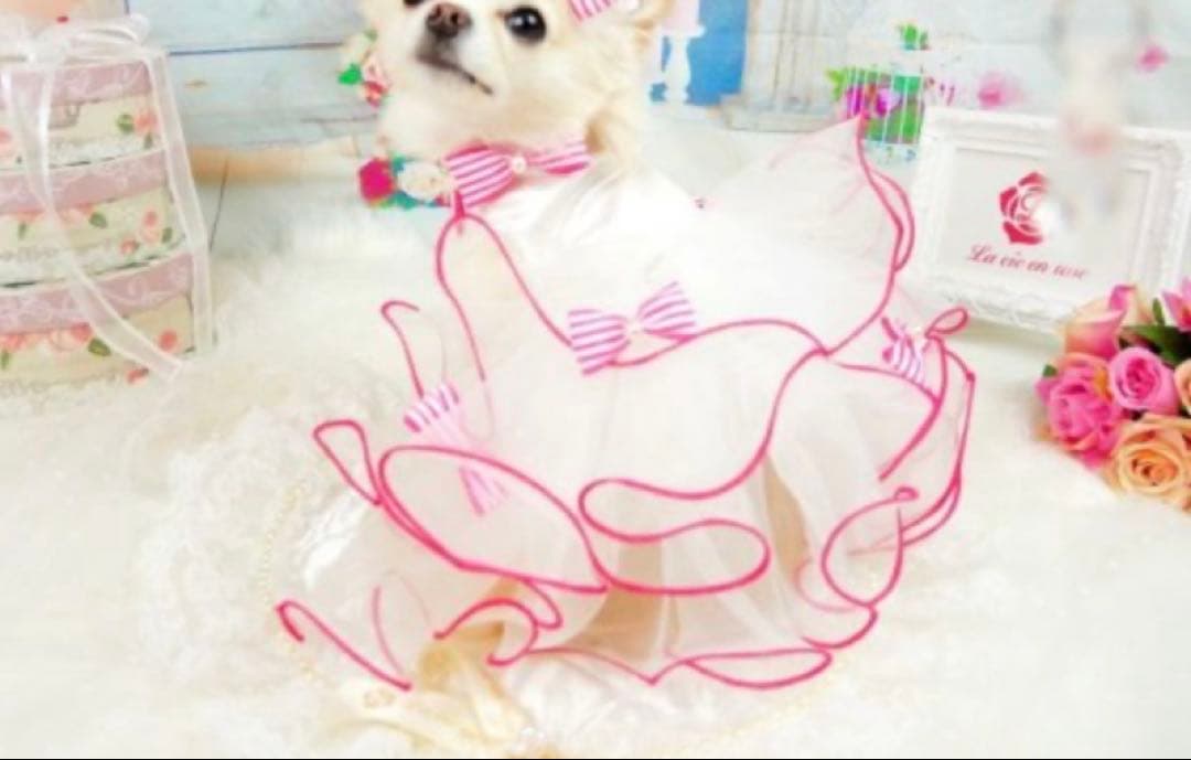 ラヴィアンローズ　Candy princess（ショート）