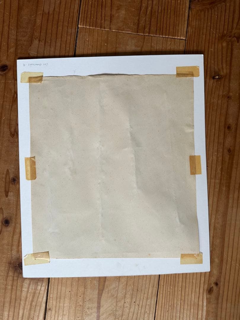 植物標本 フランスブロカント