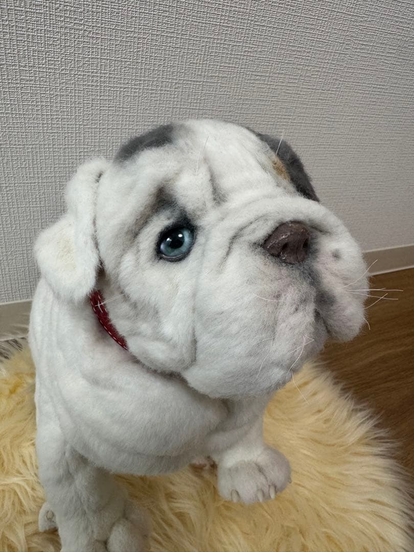 海外作家様作　ブルドッグの子供　アートドール