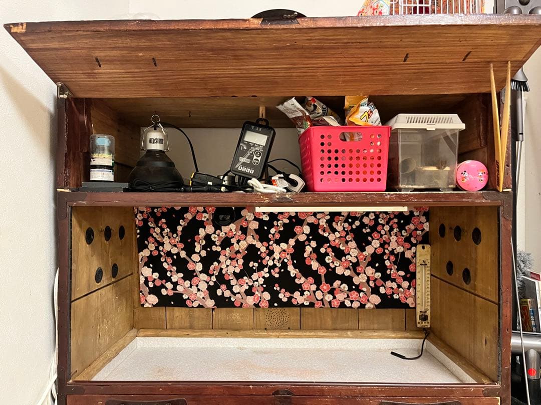 フトアゴ飼育ケージセット