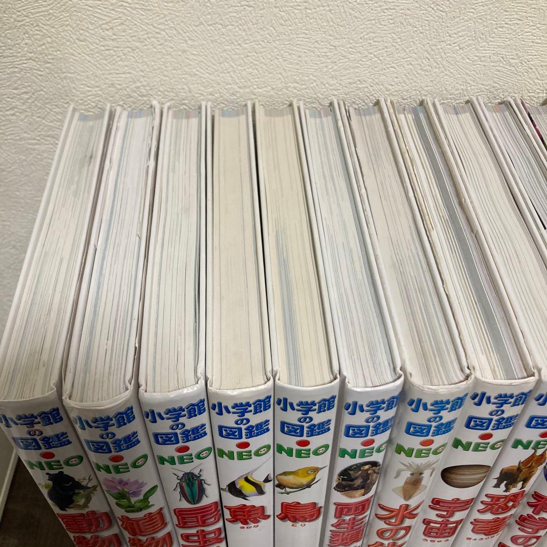 小学館の図鑑NEO 20冊セット 動物 魚 鳥 危険生物 野菜と果物くふうの図鑑