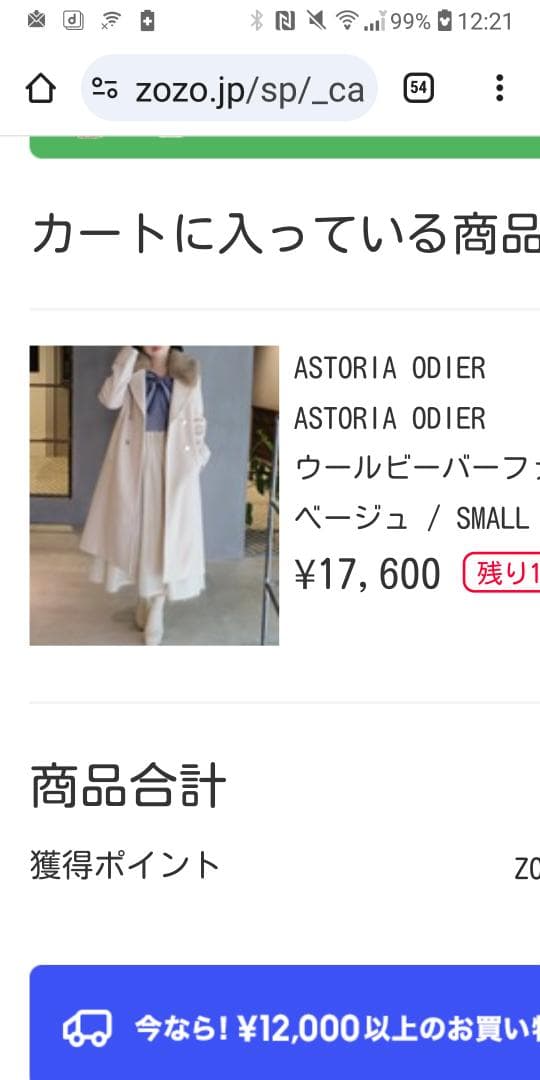 アストリアオディール　ファーコート