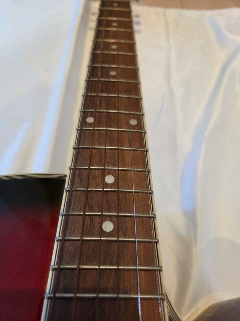 ARIA エレアコ　Elecord FET-STDRS