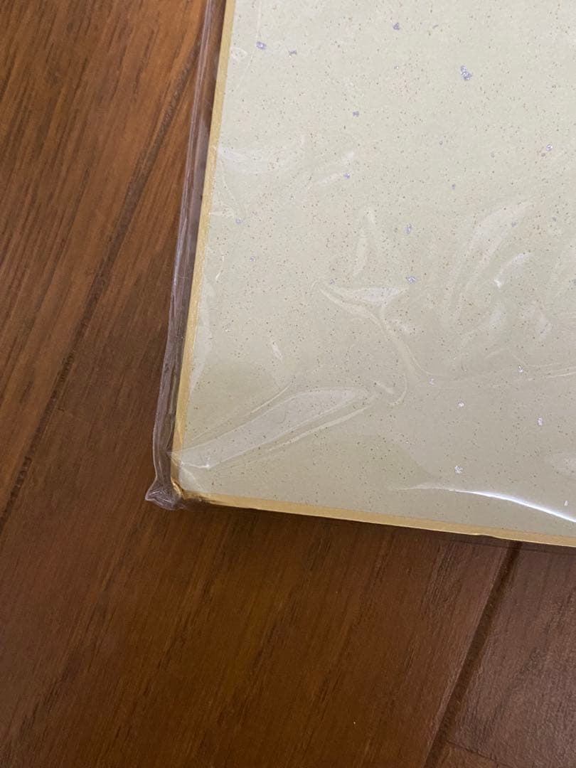 落第騎士の英雄譚 複製サイン入りイラスト色紙　色褪せあり