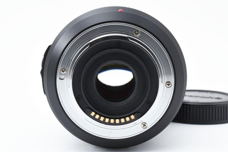 レンズ(ズーム) LEICA D VARIO-ELMAR 14-50mm F/3.8-5.6