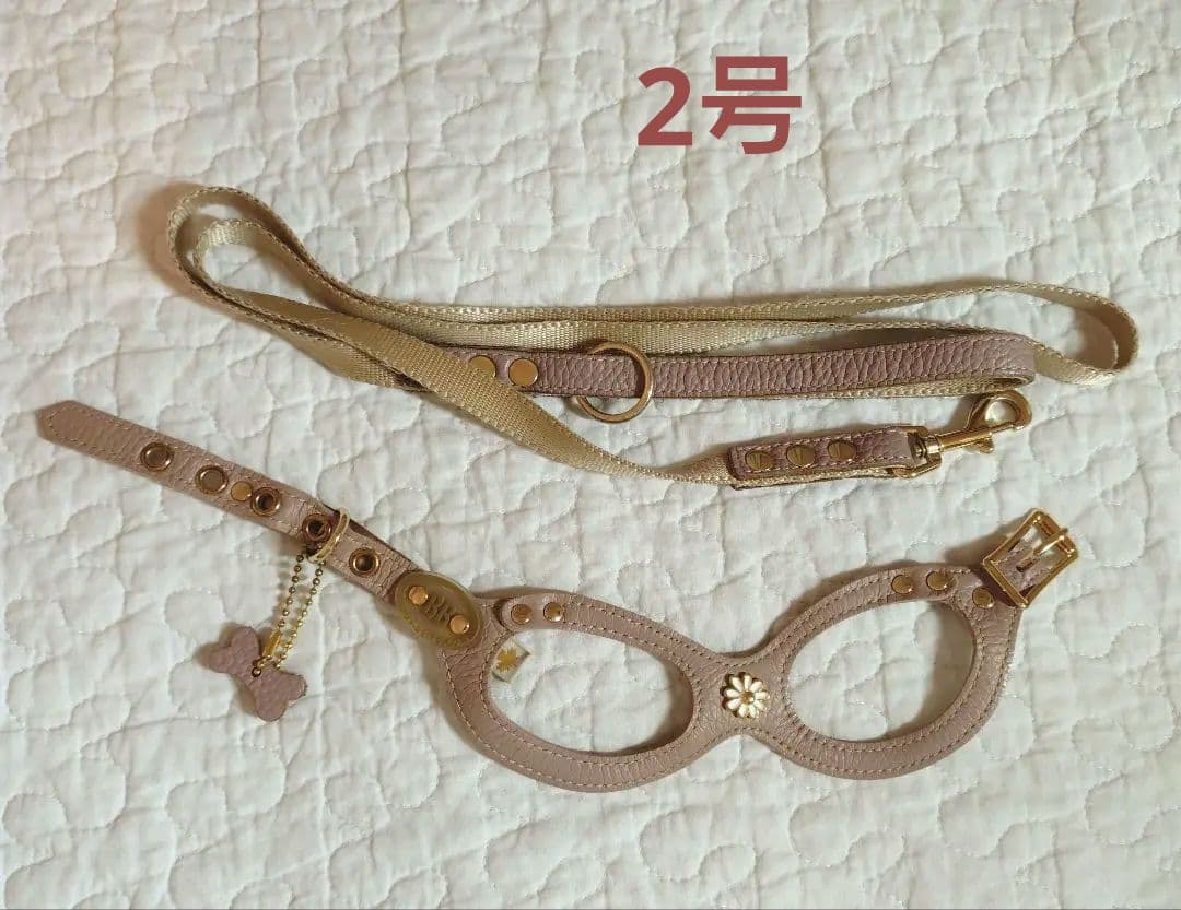 バディベルト2号＆リードセット 人気色ラテ