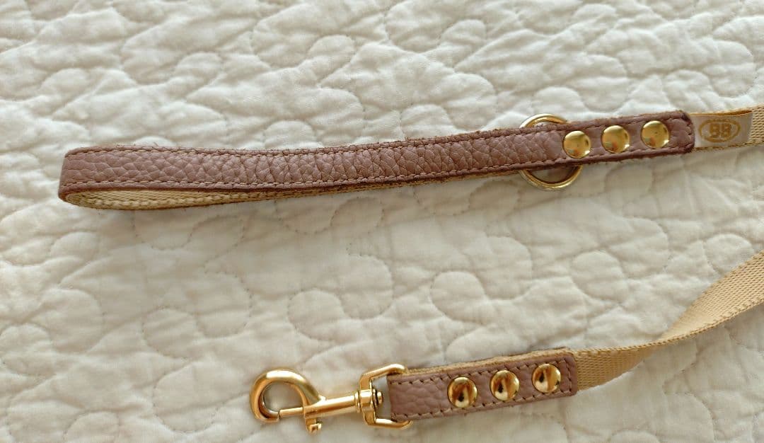 バディベルト2号＆リードセット 人気色ラテ