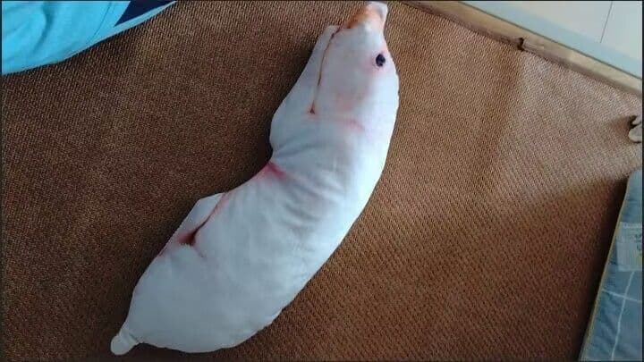 リアルな生物のぬいぐるみ 約60cm