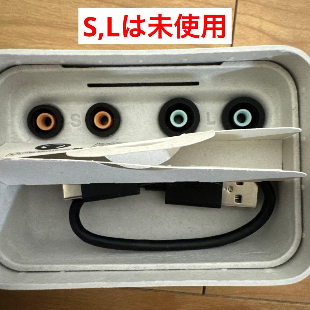 【完品】WF-1000XM4 ソニーワイヤレスイヤホン シリコンケーキ付き