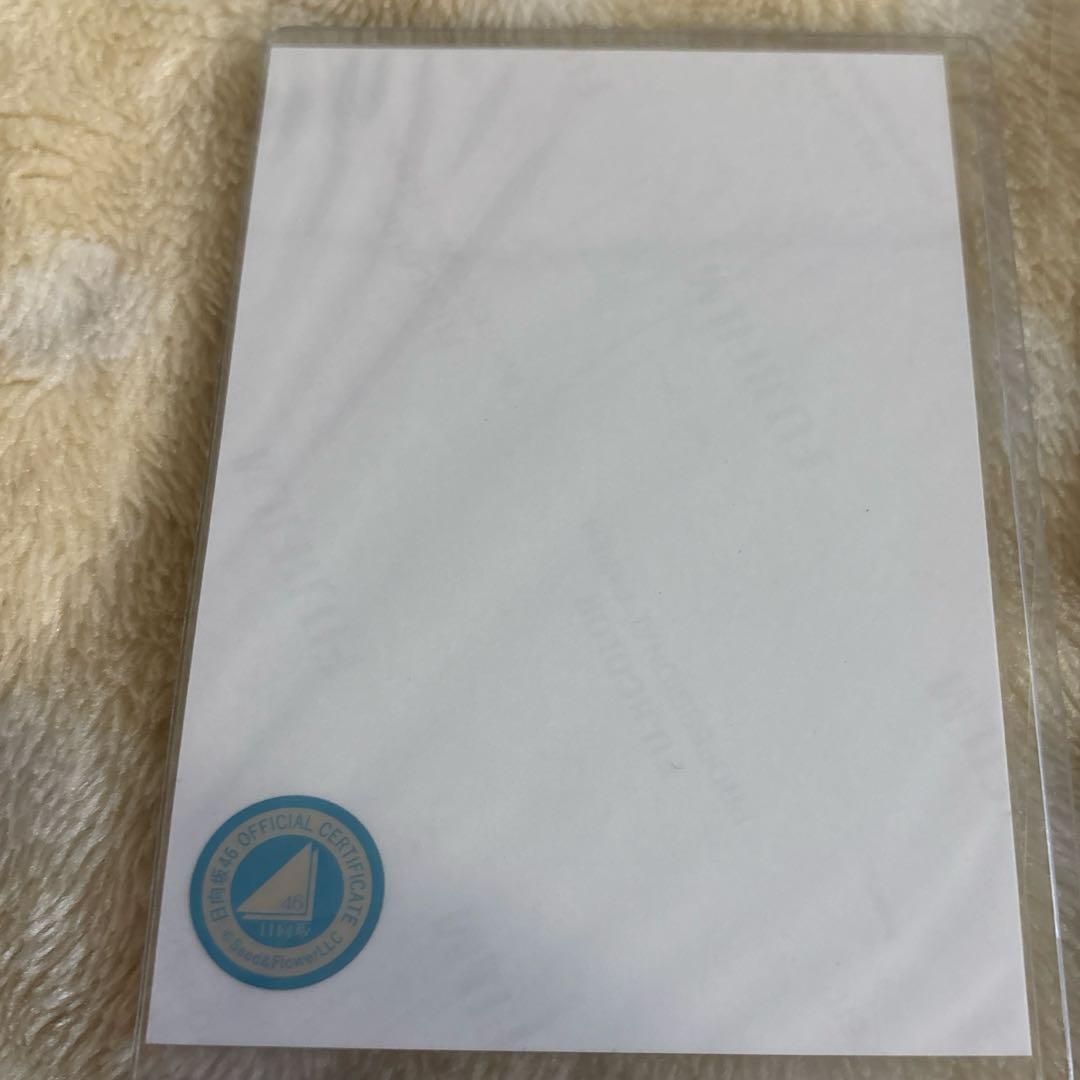 日向坂46 生写真 サンタ衣装 河田陽菜 直筆サイン