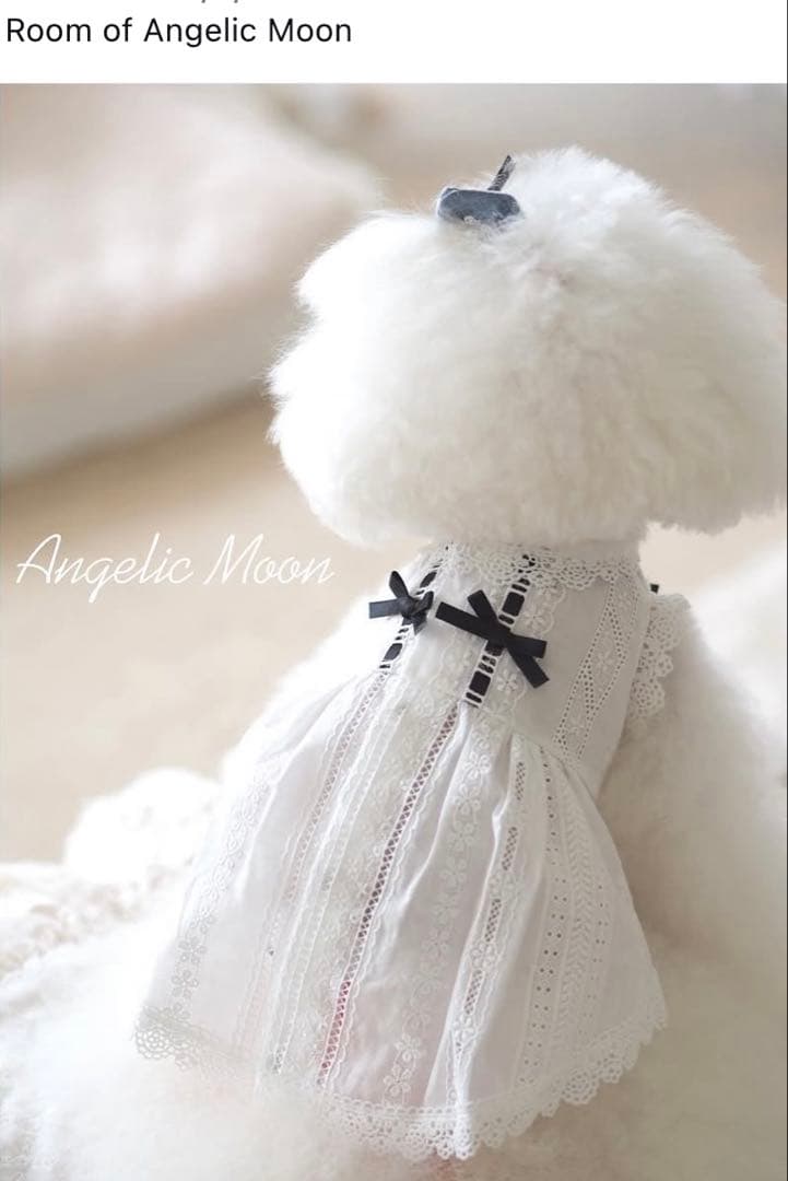 アンジェリックムーン　上品なコットンレースワンピース