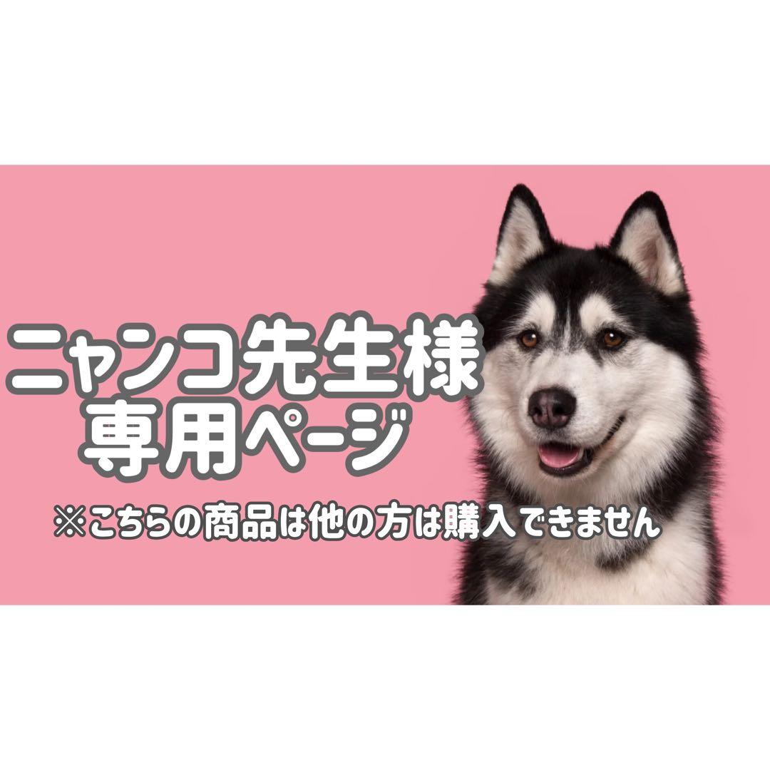 Aラ15Pラ7◯●ニャンコ先生ページ●◯