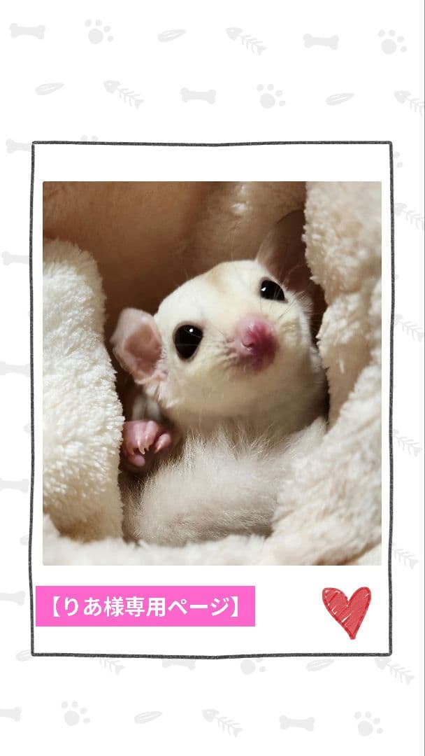 【りあ】モモンガポーチ