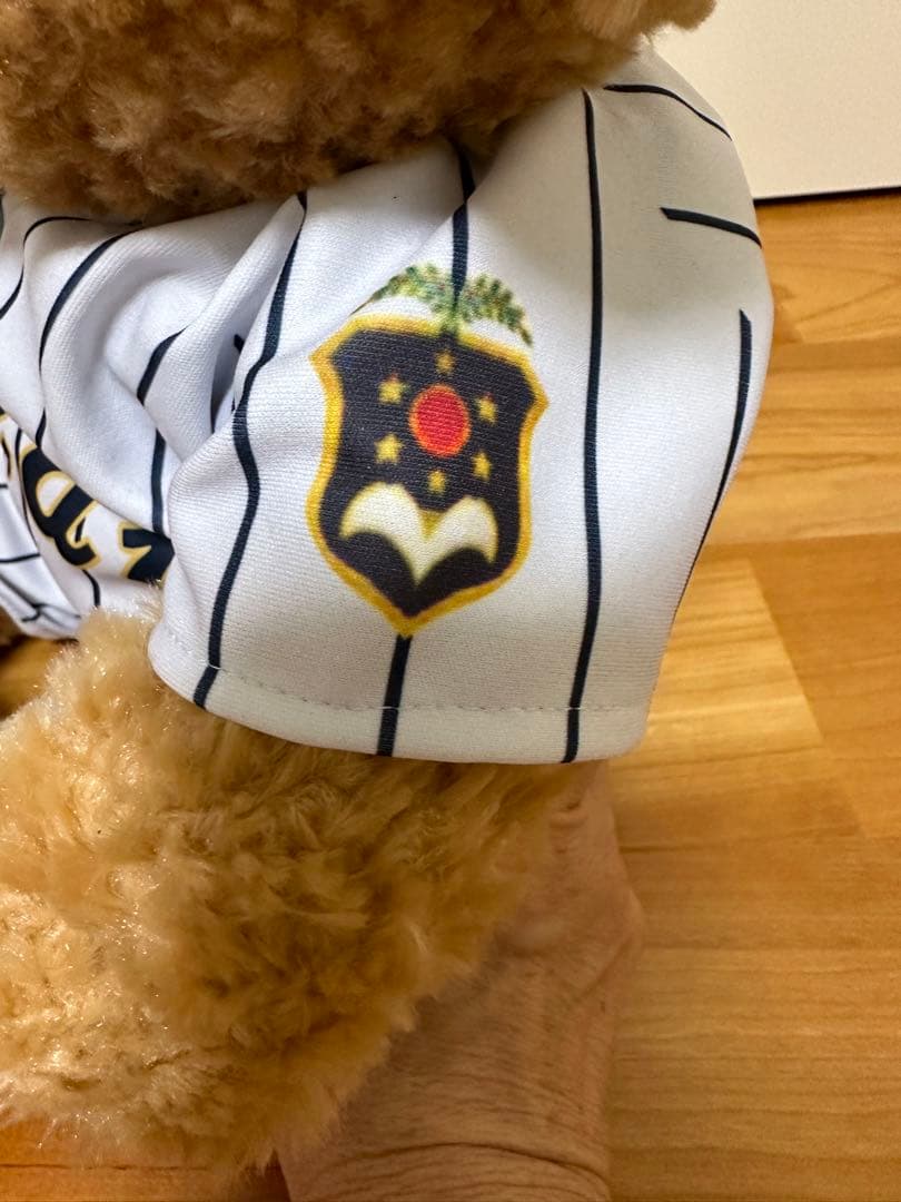 東海大甲府野球ダッフィー