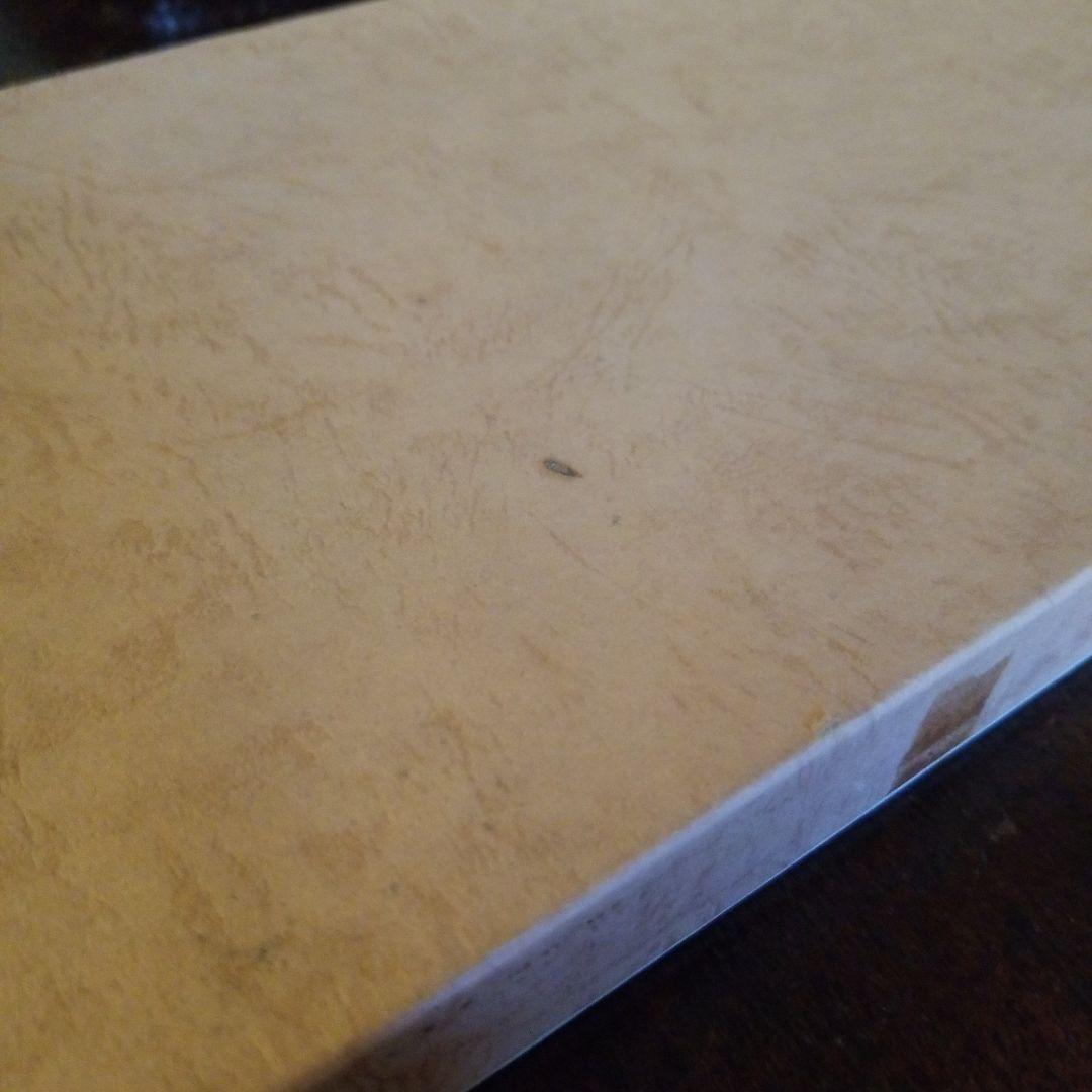 井上らんたい漆器 久留米 伝統工芸品 フランスパン皿 （大）