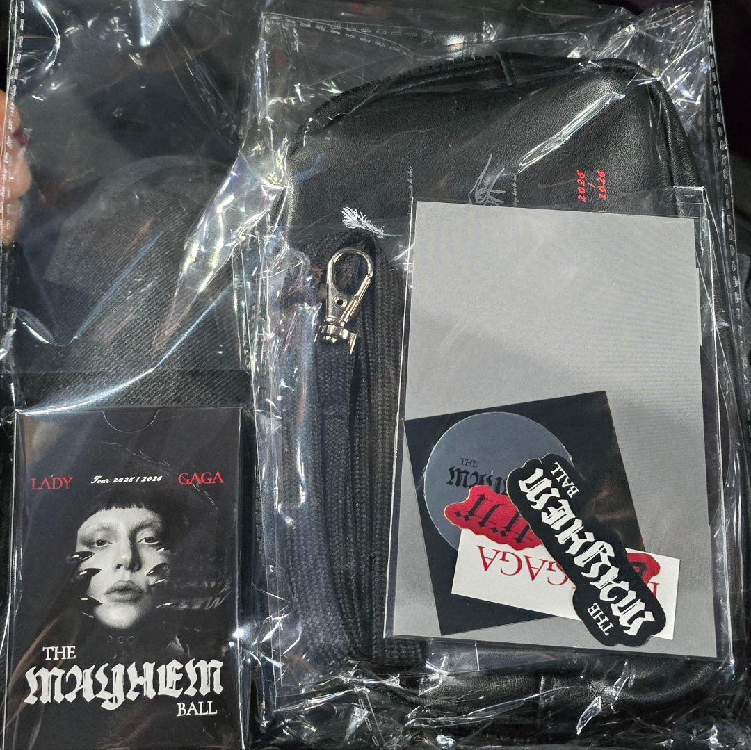 ミュージシャン Lady Gaga The Mayhem Ball 2026VIP SILVER