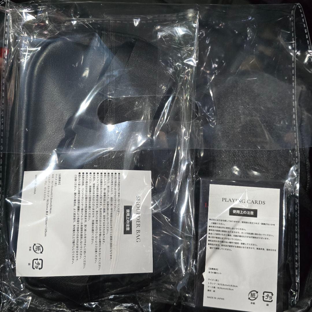 ミュージシャン Lady Gaga The Mayhem Ball 2026VIP SILVER