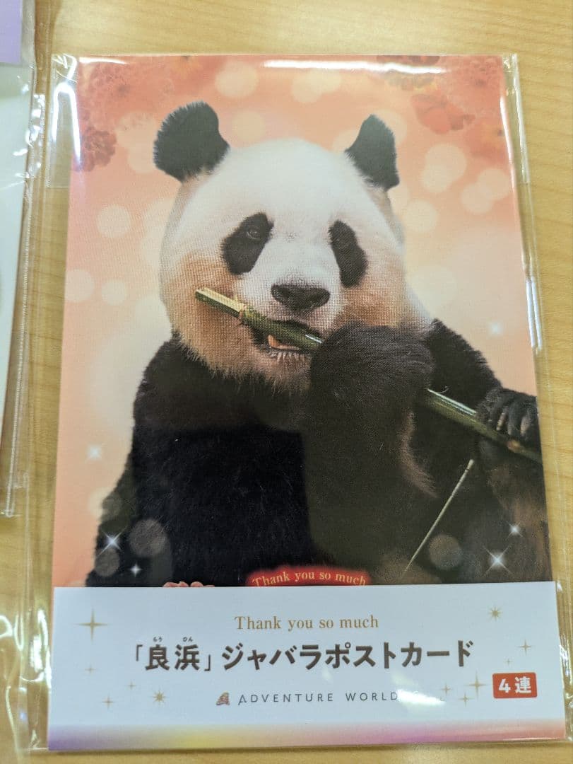【新品未開封】アドベンチャーワールド限定　パンダセット
