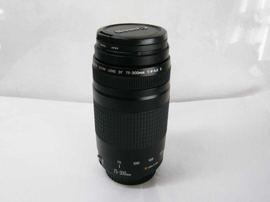 キャノン EF 75-300mm 1:4-5.6Ⅱ F4-5.6 II レンズ