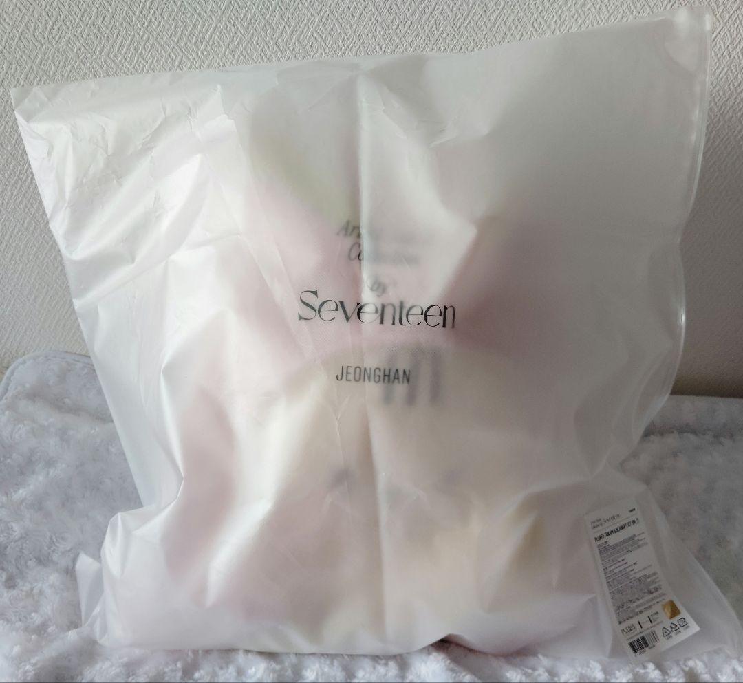 SEVENTEEN JEONGHAN トラム ぬいぐるみ アーティストメイド