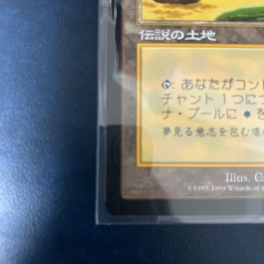 セラの聖域 伝説の土地 日本語版　MTG マジックザギャザリング