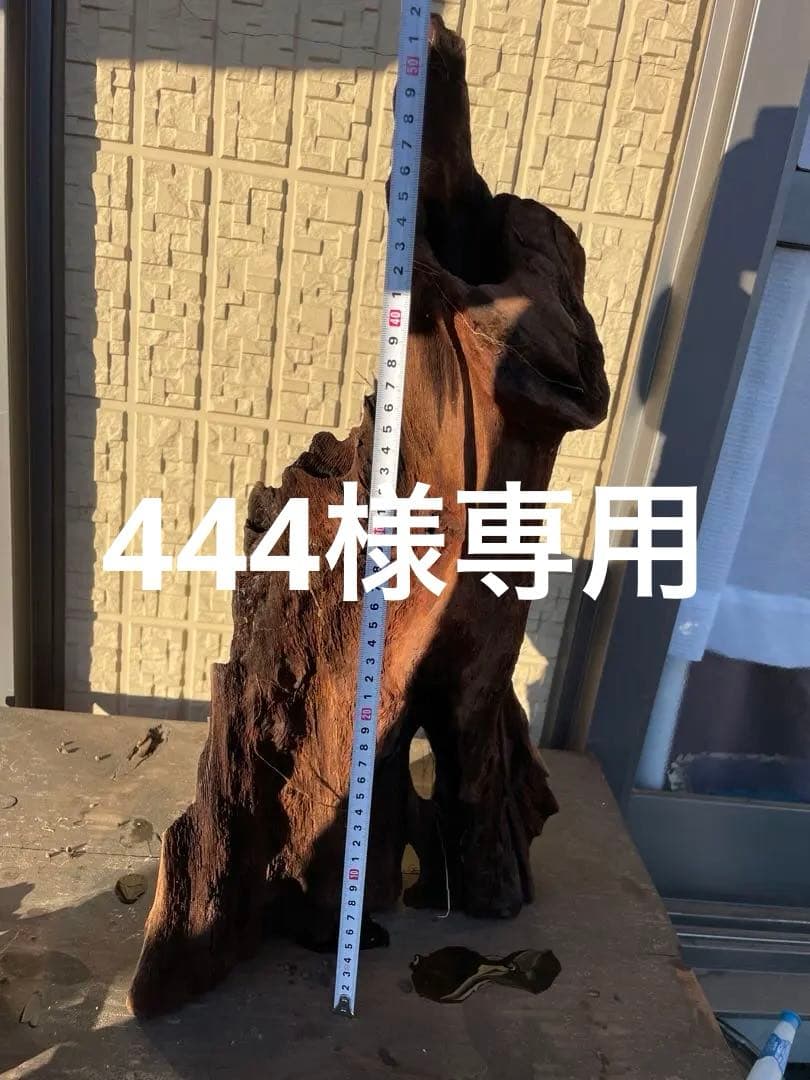 流木 高さ約52cm 自然な形状 ダークブラウン