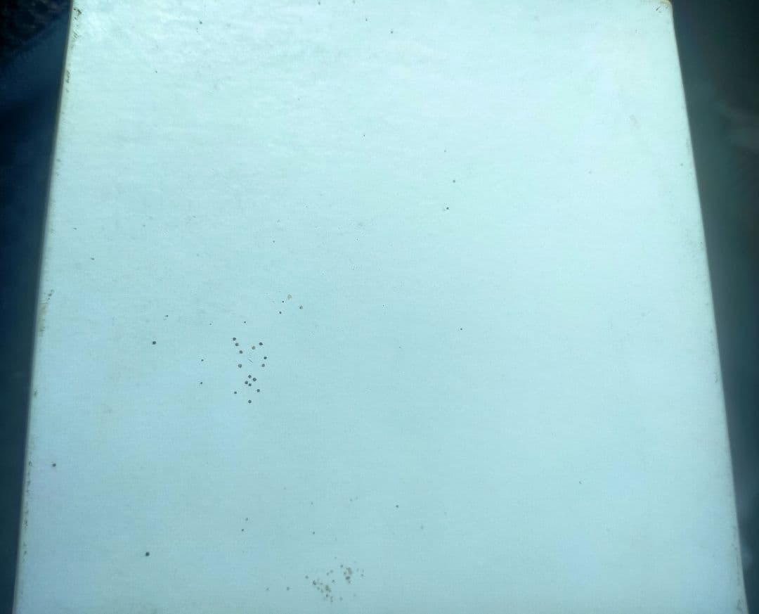 平成　新元号記念メダル 1989年