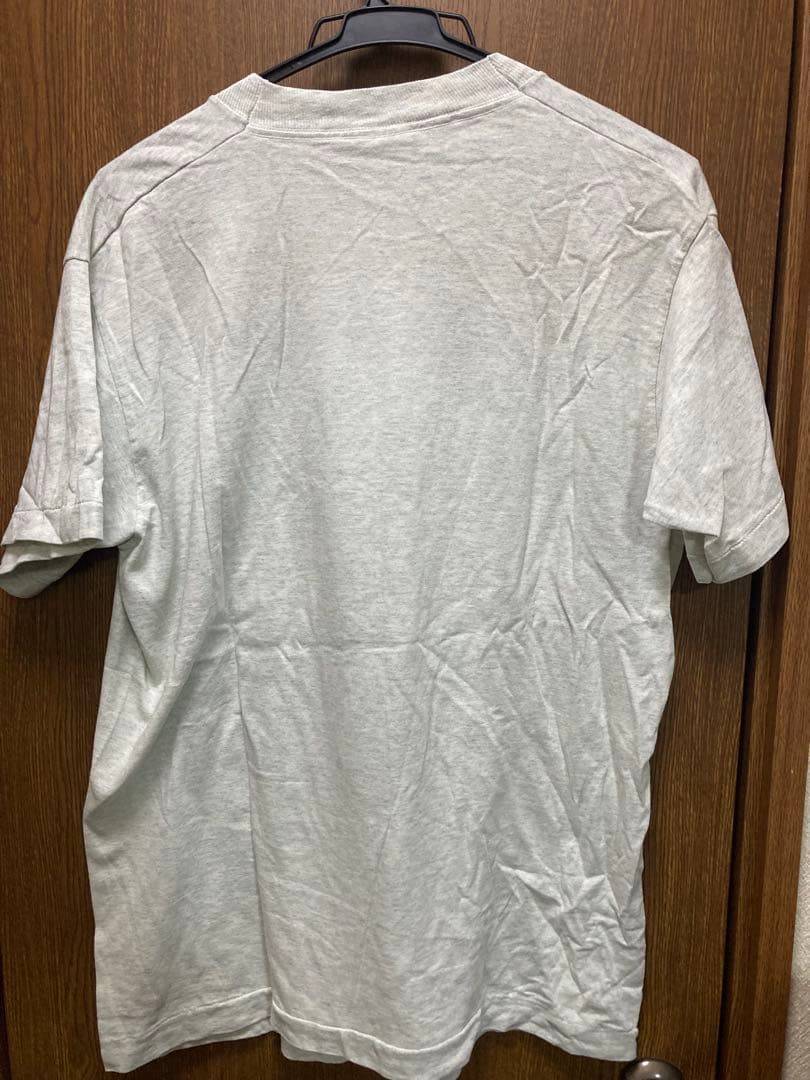 レア Sonic Youth グレー Tシャツ 90s フルーツタグ USA