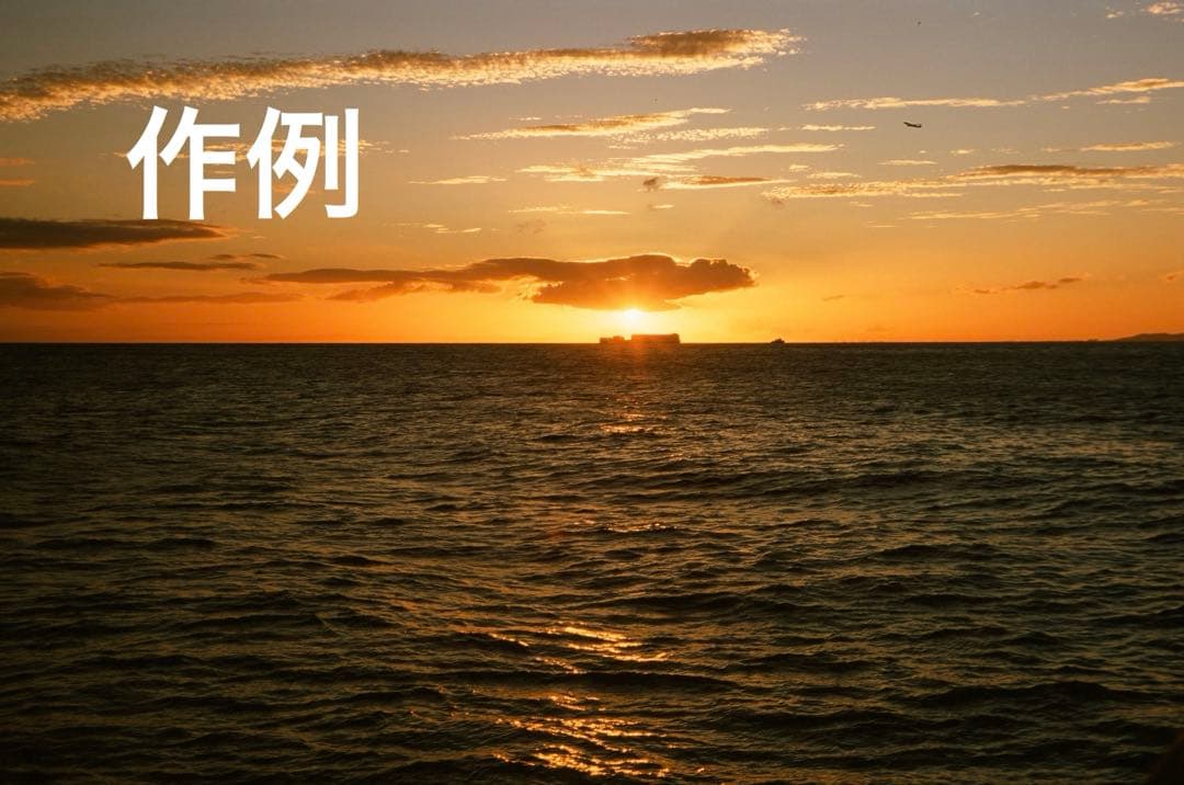 Leica IIIc 実用品