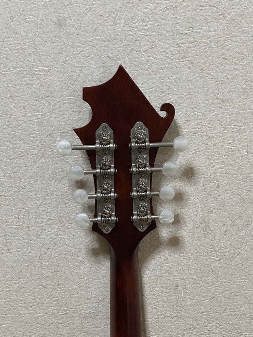 弦楽器 Eastman MD315/Antique Red