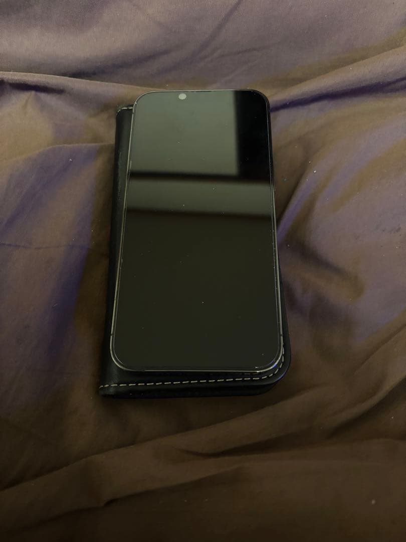 丸一さん専用Apple iPhone 13 Pro グレー ケース付き