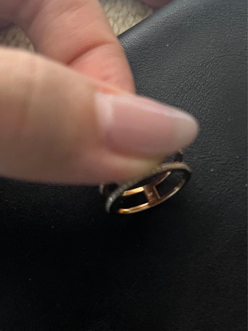 櫻井彩子さん購入　アリアーレ