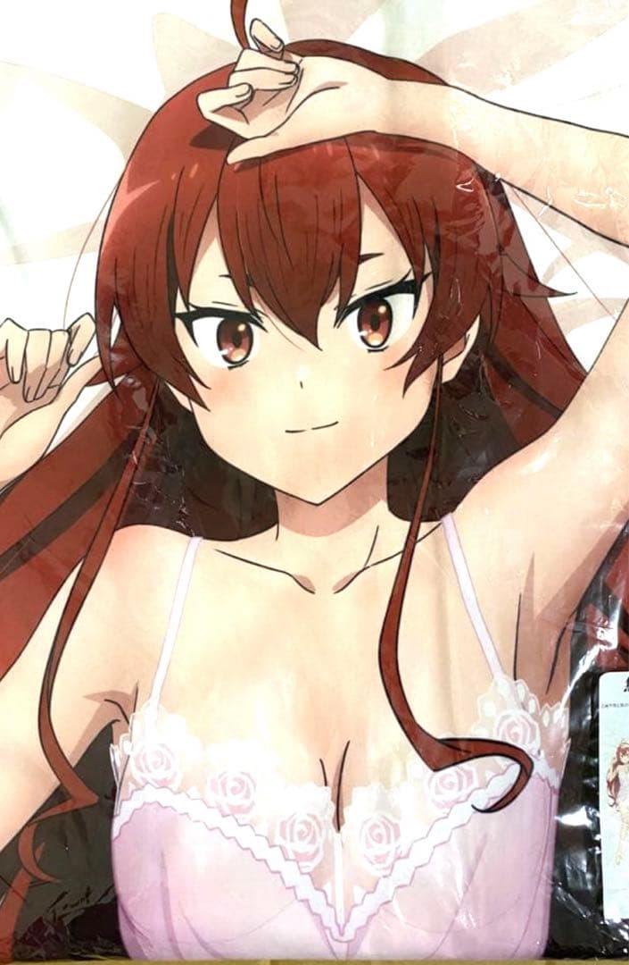 正規品　部屋着 エリス 抱き枕カバー 無職転生Ⅱ 〜異世界行ったら本気だす〜