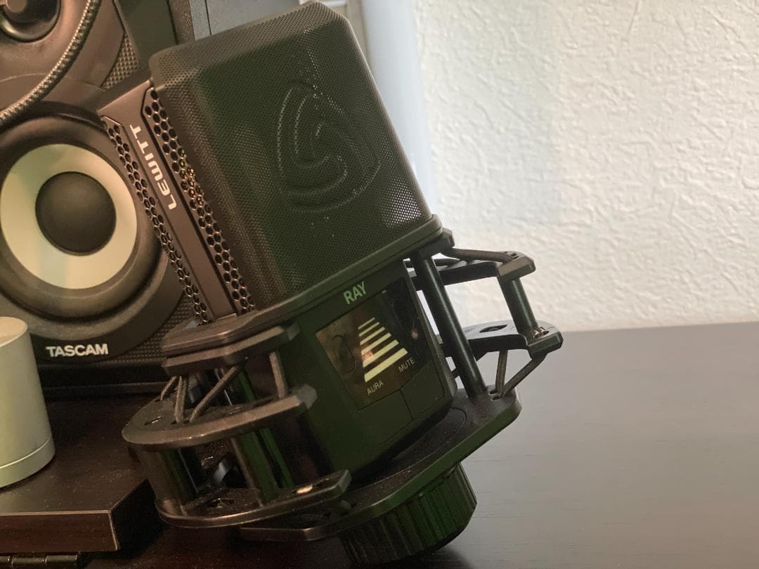 LEWITT / RAY 世界初オートフォーカスマイク