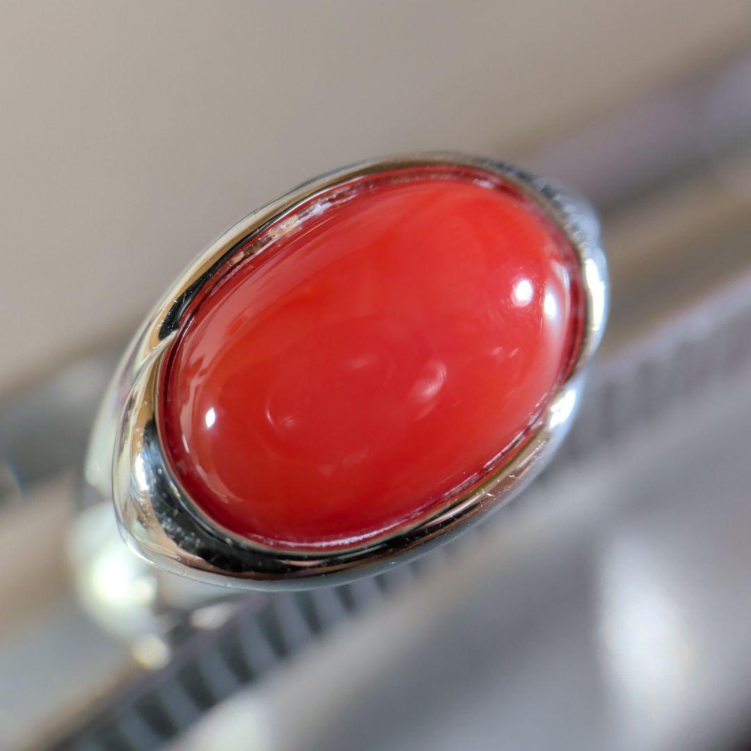 リング　Pt900　珊瑚　カボション　10.37g