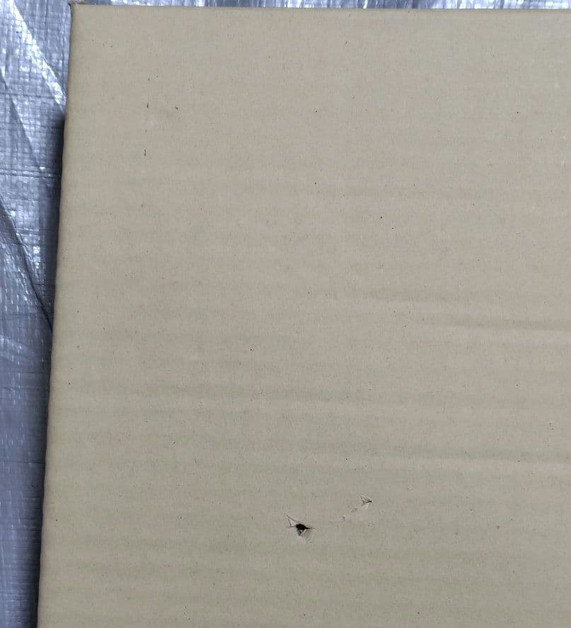 油彩額縁 M10号用 レインボー　金